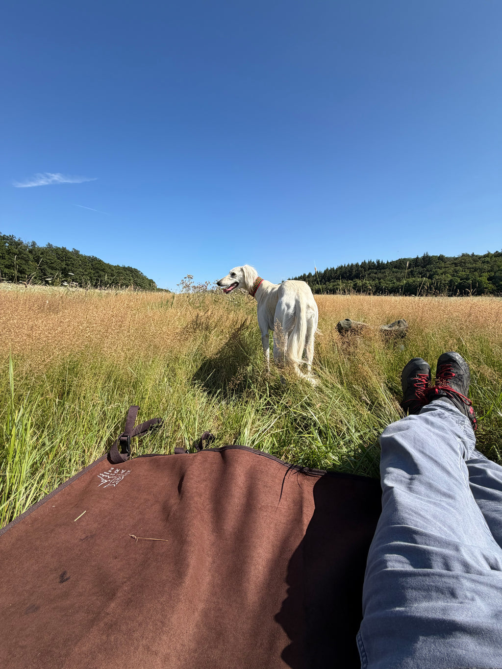 Best of Harz Outdoor Picknickdecke – Heritage Edition